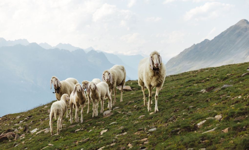 berglandschaft-oetztal